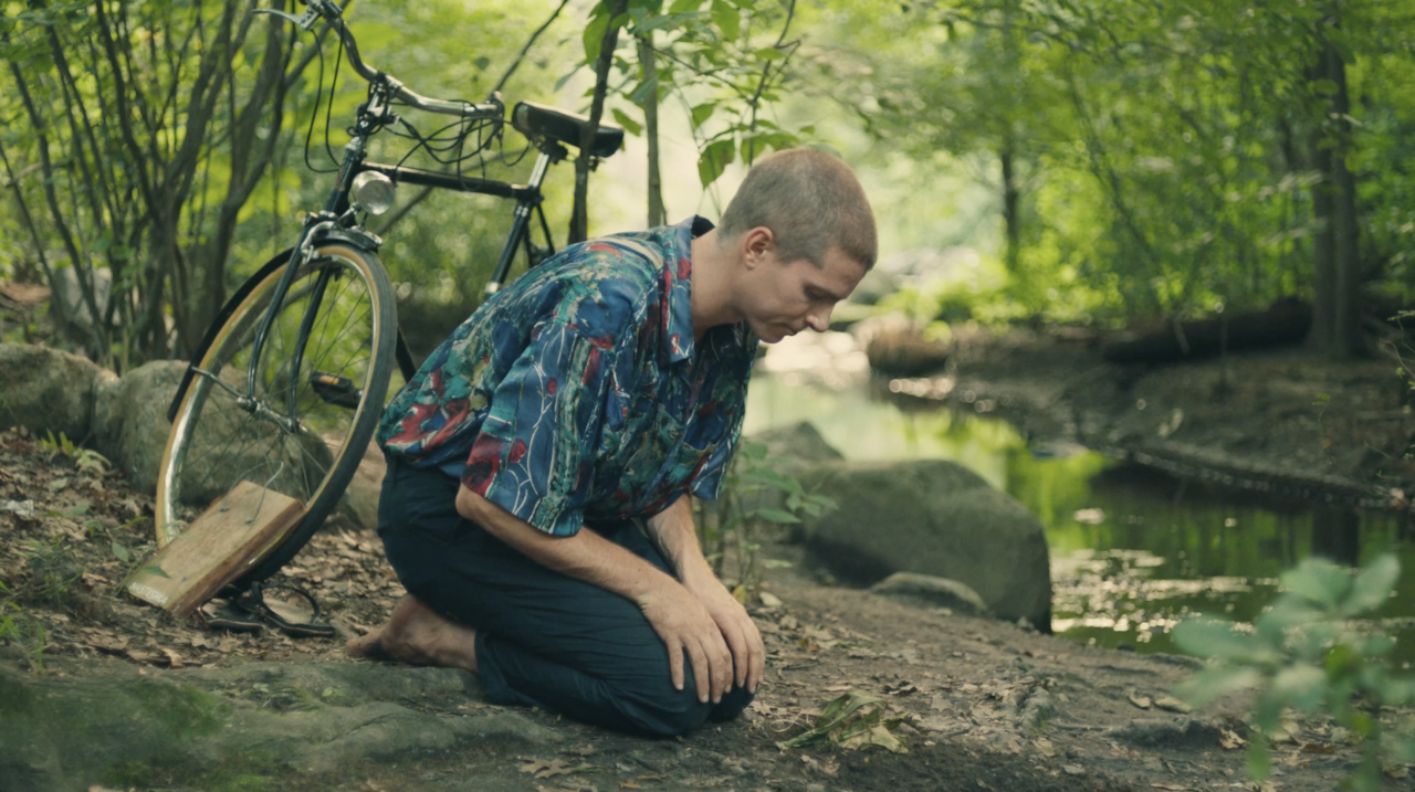Watch The Poet And The Plant